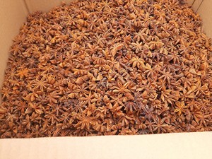 COMPRA ANÍS ESTRELLADO FRESCO-MEJORA TUS PLATOS CON SABOR EXÓTICO - Product Image 6