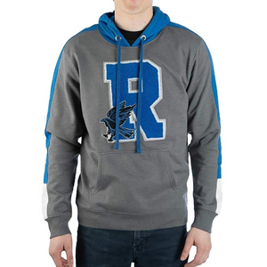 Sudadera con capucha de peso pesado Unisex de alta calidad personalizada Essentials 100% algodón 3D Chenille parche bordado OEM servicio hombres mujeres - Product Image 1