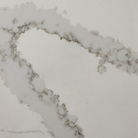Sans silice Cringe-Worthy Fabuleux Minimaliste Résidentiel Ingénierie Appartement Artificielle Quartz Pierre Cuisine Benchtop Dalle