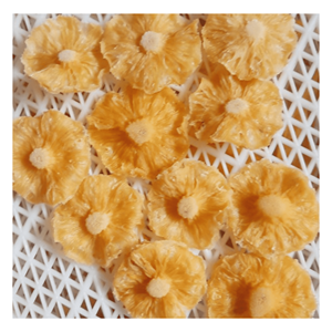 Piña Deshidratada Suave, Material de Fruta de Piña Seleccionada, Apta para Uso en Panadería y Procesamiento de Alimentos, Vietnam - Product Image 3