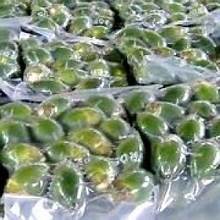 NUEZ BETEL CONGELADA COSECHADA SOSTENIBLEMENTE/INGREDIENTE PURO/DERIVADO DE PLANTAS/SIN PROCESAMIENTO QUÍMICO - Product Image 6