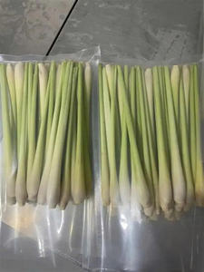 HIERBA DE LIMONO CONGELADA AL POR MAYOR CALIDAD PREMIUM OFERTA CALIENTE PRODUCTO DE EXPORTACIÓN DE HIERBAS AROMÁTICAS NATURALES - Product Image 5