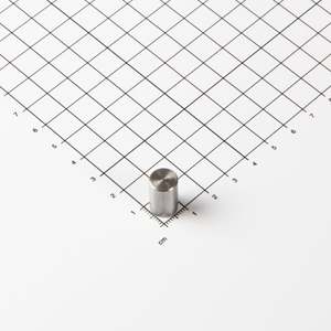 Gripper a barra in AlNiCo Ø10x16mm senza fissaggio - Product Image 1