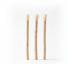 Essenceglow สมุนไพร miswak ฟันธรรมชาติไวท์เทนนิ่งเป็นมิตรกับสิ่งแวดล้อมแปรงสีฟันไม้ดูแลเหงือกสุขอนามัยฟันสดชื่นปาก - Product Image 1