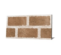 Carreaux muraux en porcelaine 300x600 en gros, style brique, finition mate, résistants à l'eau, antidérapants, effet perforé, pour extérieur et hall