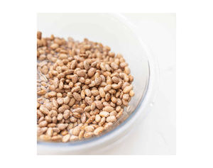 Haricots rouges séchés naturels en gros, haricots rouges mouchetés de qualité supérieure à bas prix, haricots pinto mouchetés à prix réduit - Product Image 4