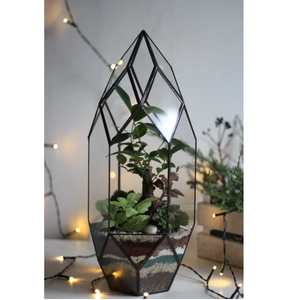 Design moderne Verre transparent Bordure métallique Terrarium géométrique Vase en verre Décoration naturelle de jardin Terrarium Maison Table Bureau Déco - Product Image 6