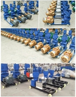 Machine automatique à granulés d'aliments pour animaux 300 KG/H Machine à aliments pour volailles et poulets Petite machine à granulés pour aliments pour animaux