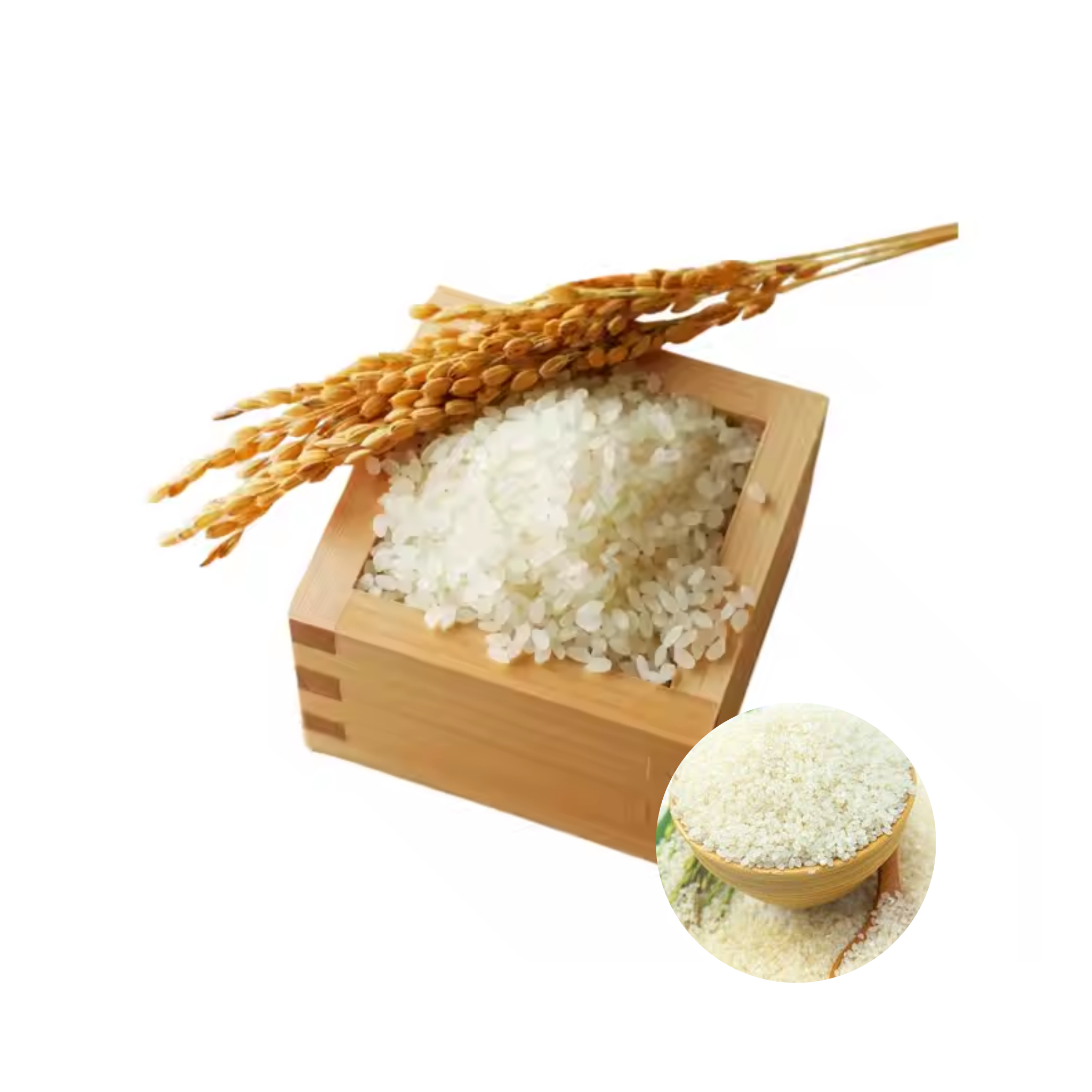 Hot Sale Tasty Best Price Top Quality Rice Perfect JAPONICA RICE From Vietnam 2kg