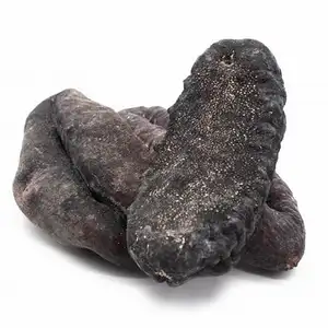 Hot Selling Dried Sea Cucumber Wholesale price Dried Sea Cucumber Buyers Europe Dried Sea Cucumber Price in Australia