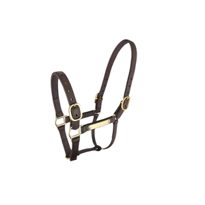 OEM personnalisé cheval en cuir indien Dressage Halter haut de gamme en cuir fantaisie Halter d'équitation avec matériel personnalisable en vente - Product Image 1