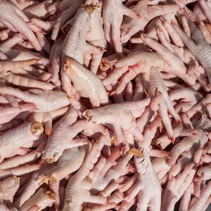 Pattes de poulet halal congelées de qualité supérieure pieds transformés de qualité A prix de gros pour fournisseur de volaille d'exportation - Product Image 2
