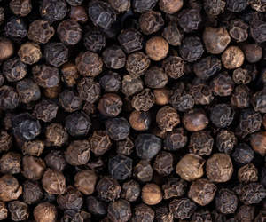 VENTE CHAUDE UNIQUE HERBE ÉPICÉE SÉCHÉE FAQ 500/550/570 GL POIVRE NOIR VIETNAMIEN FABRIQUÉ AU VIETNAM TOUTE GRADE-NOUVELLE SAISON 2025 - Product Image 5