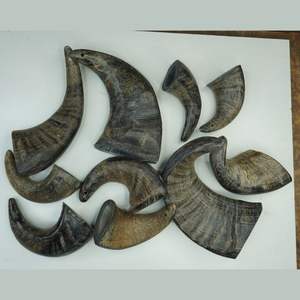 Premium Quality Beef Flavored Dog Chew High Protein Natural Water Buffalo Horn <b>Treat</b> - Product Image 6