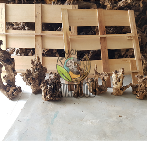 ไม้ติฟท์สำหรับตู้ปลาและบอนไซสวยงามทนทานและเป็นมิตรต่อสิ่งแวดล้อมในราคาที่ดีที่สุดจากอินโดนีเซีย - Product Image 6