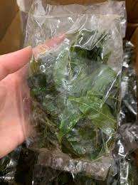 Feuille congelée de Clausena Indica IQF Emballage sous vide Approvisionnement du Vietnam - Product Image 2