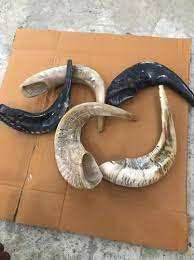 กรอบแว่นตารูปเขาควายระดับพรีเมี่ยมมีสไตล์น้ำหนักเบาและเป็นมิตรกับสิ่งแวดล้อมทำด้วยมือเพื่อแว่นตาที่มีเอกลักษณ์และทนทาน - Product Image 4