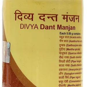 Premium Quality Ayurvedic Herbal Remedy Divya Dant Manjan 100g Healthy Teeth Care Oral Care