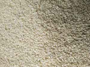 Hulled Sesame <b>Seeds</b> Natural Source of Protein and Fiber for Cooking, Baking, and Snack Recipes - Product Image 3