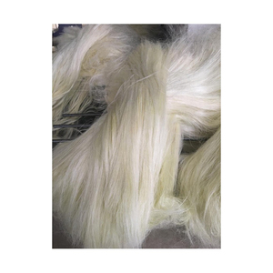 Fibra de sisal cruda para usos agrícolas, incluyendo cuerdas de Unión fuertes y flexibles. - Product Image 2