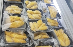 ทุเรียนแช่แข็งพรีเมียม, แหล่งผลไม้บริสุทธิ์ - Product Image 6