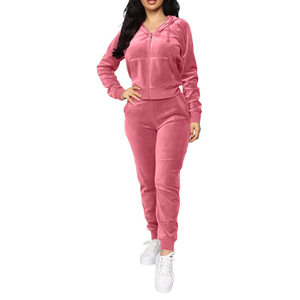 Mode velours femmes velours survêtement deux pièces tenue décontractée à capuche et pantalon en gros OEM Logo personnalisé ensemble - Product Image 2