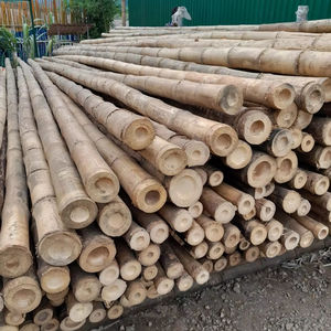 High quality solid natural <b>bamboo</b> poles Vietnam origin for gardening <b>fence</b> construction and interior decoration projects - Product Image 6