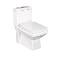 Wc à chasse automatique de luxe Toilette intelligente Toilette intelligente Toilette intelligente disponible à un prix abordable