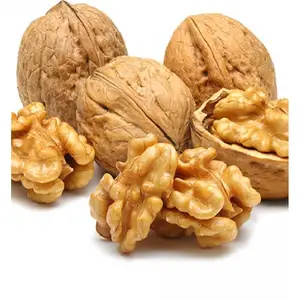 Wholesale Walnut Raw Dried High Quality Nuts Snacks Walnut From our Company warehouse for Export