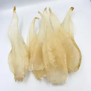 NUTRIOUS SEAFOOD - HIGH QUALITY DRIED CAT FISH MAW WITH TUBE TYPE - THE MOST REASONABLE PRICE