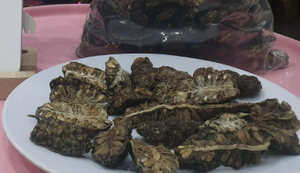 NONI SECO DE GRADO DE EXPORTACIÓN | FRUTA DE HIERBAS TRADICIONAL | LIMPIA Y SEGURA - Product Image 2