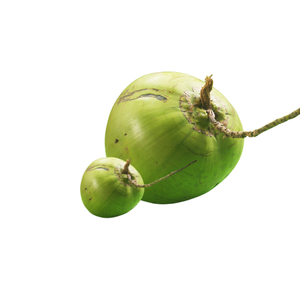 स्वाभाविक रूप से हाइड्रेटः हमारे ताजा नारियल पानी के चयन का पता लगाएं! - Product Image 5