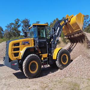 Cargadora de ruedas resistente de la mejor calidad con entrega rápida Tareas de elevación eficientes Bomba de cojinete de motor-¡Todo en stock Precio barato! - Product Image 6