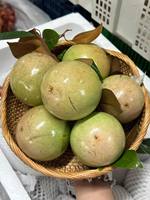Verse Vietnamese Sterappel, hoge kwaliteit, zoet tropisch fruit, leverbaar voor export, groothandelskopers.