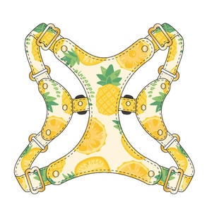 רתמת כלבים מתכווננת, סט רתמה ורצועה לכלבים קטנים, רתמה קלה ורכה לחיות מחמד, רתמה נגד חנק, רתמה נגד בריחה לחיות מחמד - Product Image 5