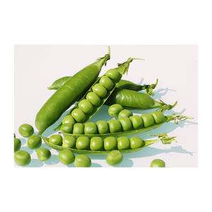 Semillas de quinua con sabor a vida, semillas de guisantes, semillas veganas a base de plantas aisladas - Product Image 1