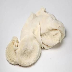 Callos de ternera congelados orgánicos naturales Carne de ternera en paquete al vacío Carne de ternera Omasum congelado - Product Image 5