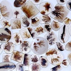 Shazar dendritic Agate หินอัญมณี Cabochon ธรรมชาติที่ดีของควอตซ์รูปร่างผสมสำหรับการทำเครื่องประดับ - Product Image 3