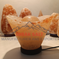 Lampe de sel de l'Himalaya sculptée de qualité supérieure JOBAK, forme bateau, style Feng Shui, base en bois, toucher réel, purificateur d'air, multicolore
