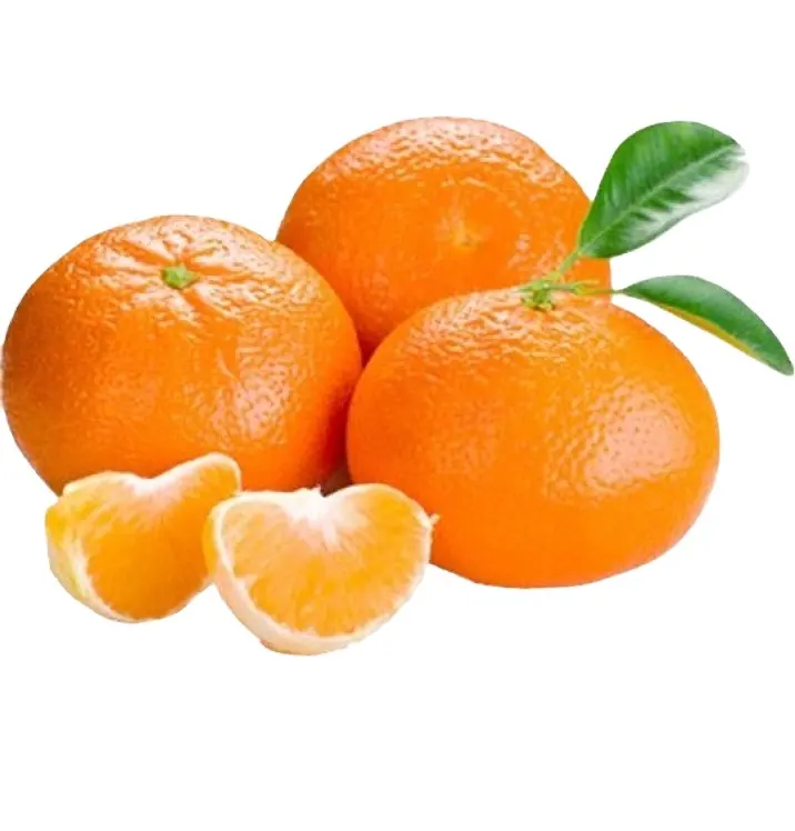 Toptan fiyat narenciye portakal taze en çok satan taze turunçgiller konserve portakal tatlı tarzı depolama ambalaj mandarin portakal
