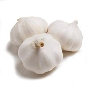 Garlics ขายพร้อมส่ง - Product Image 3