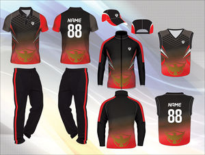 Tenue de sport formelle, uniforme d'équipe de cricket de qualité supérieure dans de belles couleurs avec des fonctionnalités de personnalisation - Product Image 4