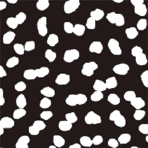 <b>Black</b> Mesh Leg Design <b>Leggings</b> Fitness Active Wear Logo Seamless <b>High</b> Quality Breathable Women's <b>Leggings</b> From Pakistan - Product Image 4