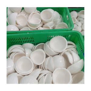 ชิ้นเนื้อมะพร้าวแช่แข็งเนื้อมะพร้าวนุ่มสำหรับการส่งออก - Product Image 6