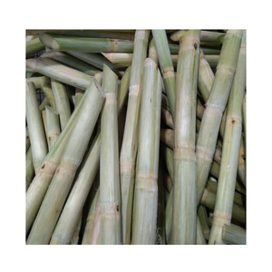 Productos agrícolas más vendidos al por mayor de caña de azúcar congelada, jugo de caña de azúcar congelado para beber y bebidas de origen en Vietnam - Product Image 1