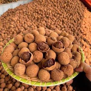 LYCHEE SÉCHÉ DU VIETNAM - SAVEUR NATURELLE, BELLE COULEUR, PARFAIT POUR LES COLLATION ET LES DESSERTS - Product Image 6