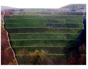 Прямая поставка от производителя, лучшее качество, Сыпучие сельскохозяйственные смеси, травяная смесь для рекультивации карьеров - Product Image 1