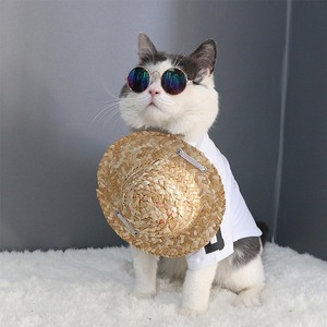 El mejor vendedor, sombrero de hierba para perros y gatos de verano, sombreros de paja de alta calidad para perros y gatos, tamaños personalizados disponibles - Product Image 3