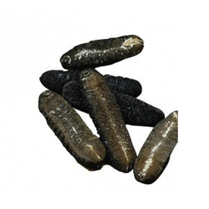 Pepino de mar seco a granel/pepino de mar a la venta - Product Image 5