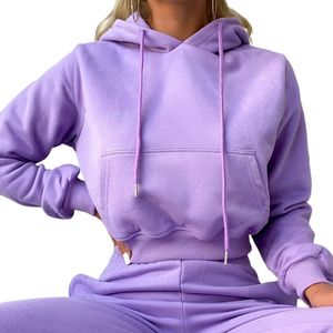 2025 unisexe femmes Jogging ensemble plaine à capuche ensemble personnalisé survêtements survêtements avec Logo blanc survêtements 2 pièces ensemble - Product Image 3